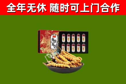 永泰回收冬虫夏草价格